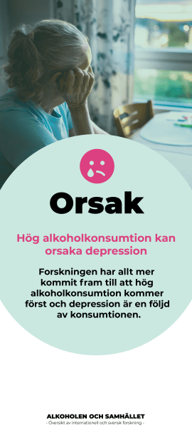 Alkohol och hjarna_story_01