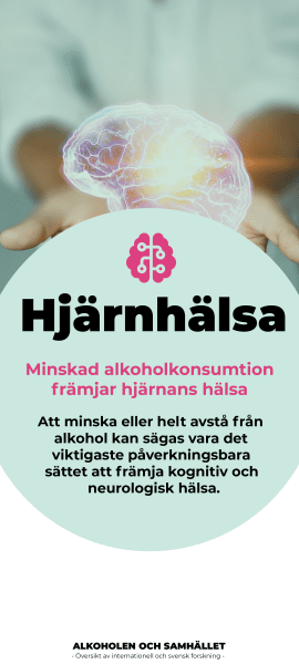 Alkohol och hjarna_story_05